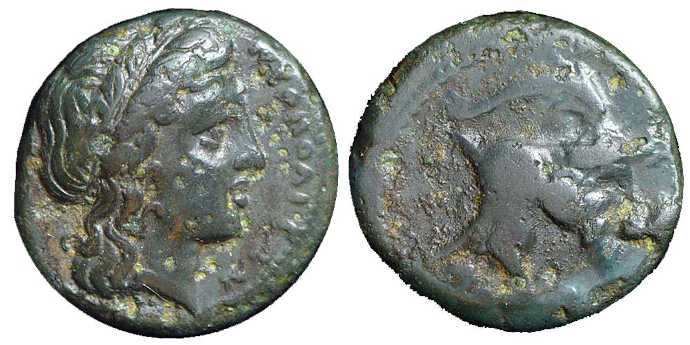 Ancient Greek Coins Campania Neapolis Bronze 