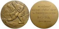 Medals-Czechoslovakia-Republic-Medal-1928-AE