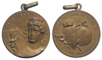 Medals-Italy-Como-Medal-1918-AE