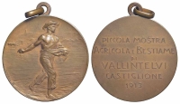 Medals-Italy-Vallintelvi-Castiglione-Medal-1913-AE