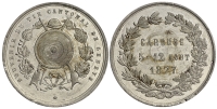 Medals-Switzerland-Geneve-Medal-1877-WM