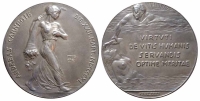 Medals-Switzerland-Medal-1911-AR